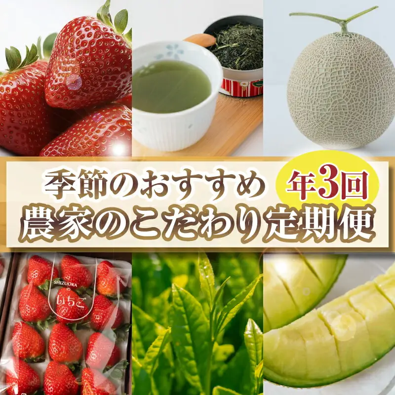 定期便 3回 フルーツ 定期便 いちご メロン お茶 国産 イチゴ 果物 アイス 森木農園 静岡県 牧之原市 