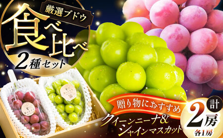 【2026年先行予約】シャインマスカット クイーンニーナ 各1房 [AIAB012] ぶどう フルーツ 秀品 化粧箱入り 