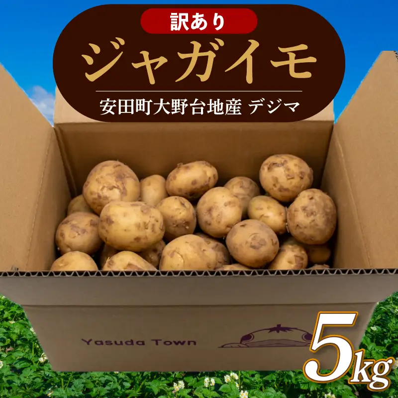 【訳ありじゃがいも】 春デジマ 5kg じゃがいも 安田町 大野台地 YK-0012