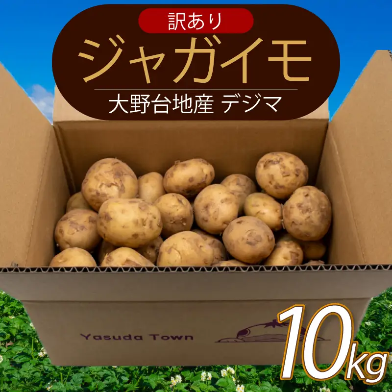 【訳ありじゃがいも】 【先行予約】 春デジマ じゃがいも 10kg 大野台地 YK-0013