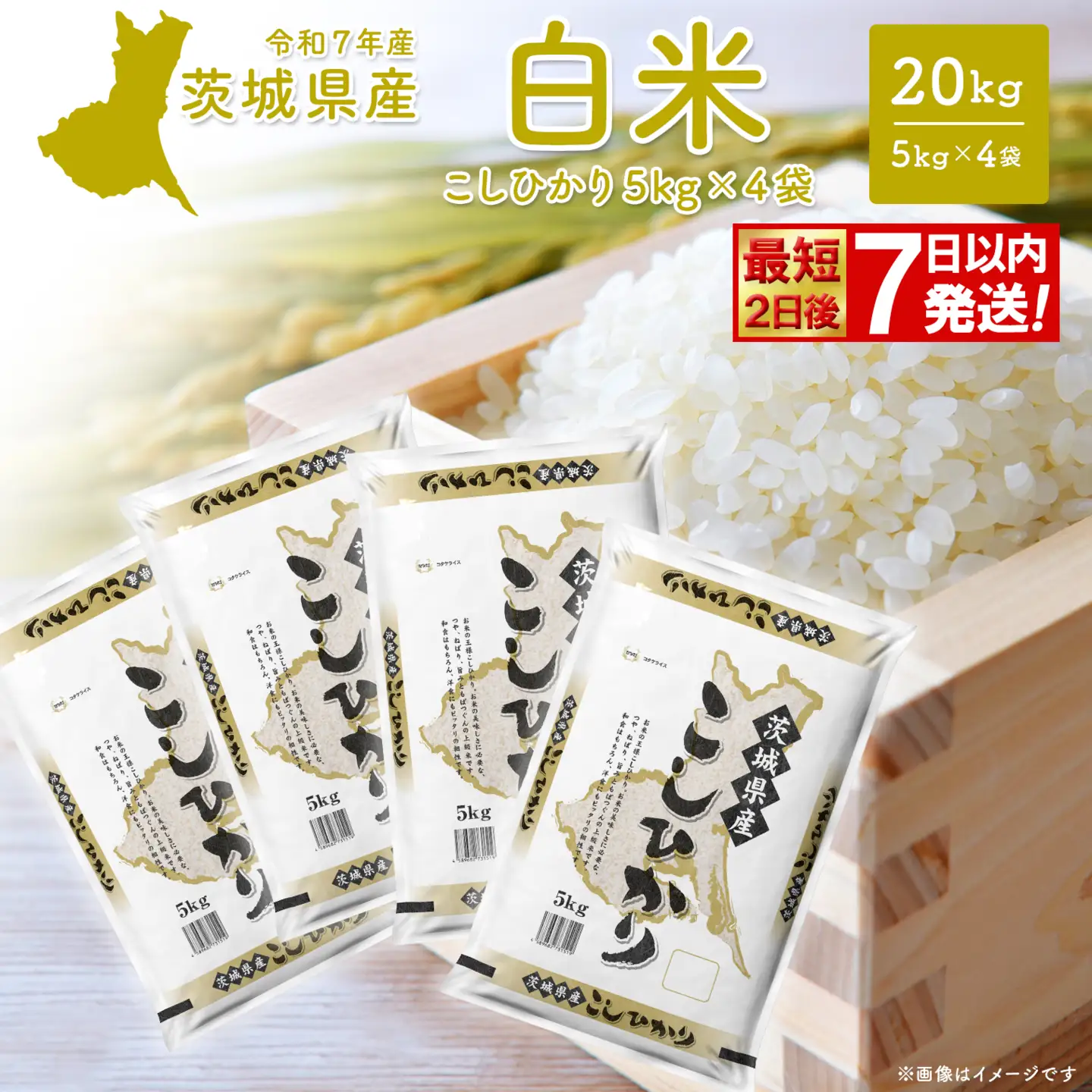 白米 こしひかり 20kg 最短発送 令和7年産 茨城県産 米 K2704