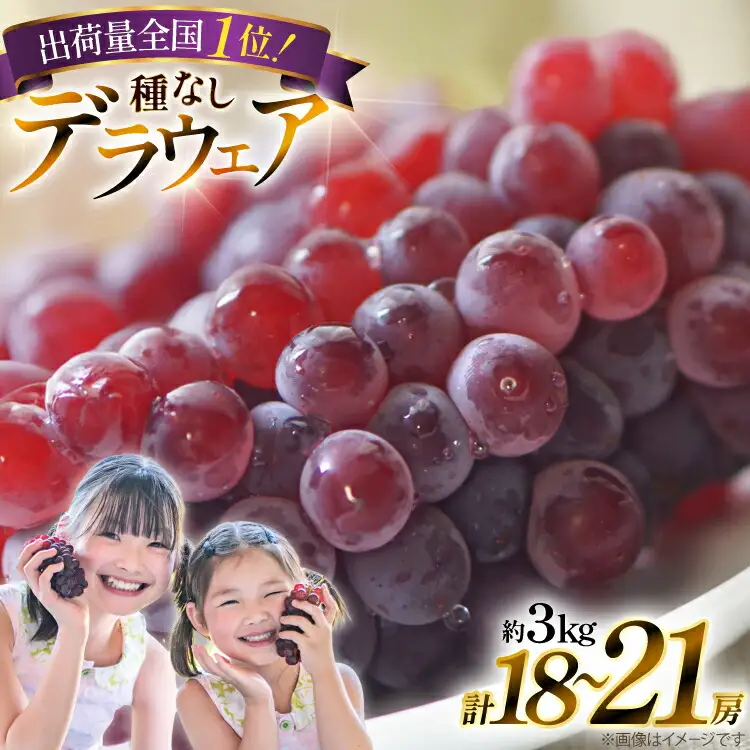 【期間限定発送】 ぶどう デラウェア 秀品 18～21房 約3kg [治右衛門果樹園 山形県 高畠町 tk06ays830020]