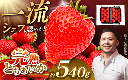 【栃木県共通返礼品】完熟とちあいか Grande（グランデ）270g×2P 