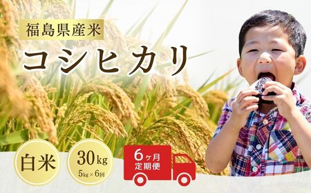 【定期便】コシヒカリ 白米 30キロ (5kg×6回) 令和8年産 ｜ コシヒカリ サムランド