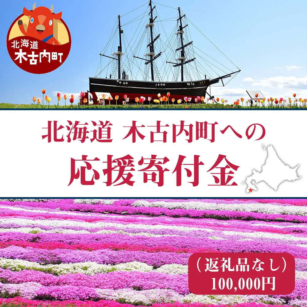 北海道 木古内町☆応援寄付金☆【返礼品なし】100,000円