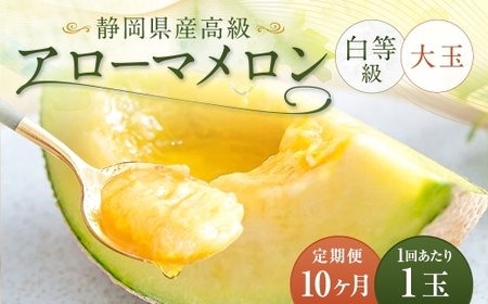【10ヶ月定期便】 静岡県産 高級 アローマメロン 白等級 約1.5kg以上 × 大玉 1玉 メロン めろん 高級メロン フルーツ 果物 くだもの 定期便 静岡県 菊川市