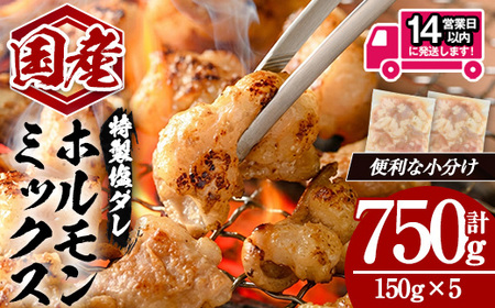 ＜14営業日以内発送！＞国産黒毛和牛ホルモンミックス 塩ダレ (計750g・150g×5)   国産 牛肉  ホルモン【肉のちょーさん】A1058