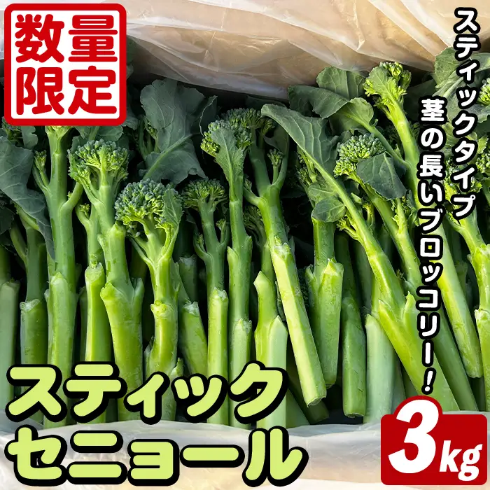スティックセニョール (3kg) 国産 鹿児島県産 阿久根市産 ブロッコリー 野菜 サラダ お弁当 ピクニック 産地直送 茎ブロッコリー 肉巻き 数量限定 期間限定 【うとさんち】akn067-26
