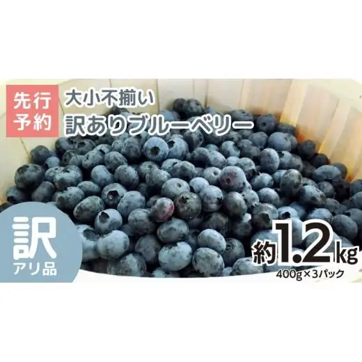 【訳あり】大小不揃い 冷凍ブルーベリー 1.2kg 【2026年8月上旬頃より発送開始】
