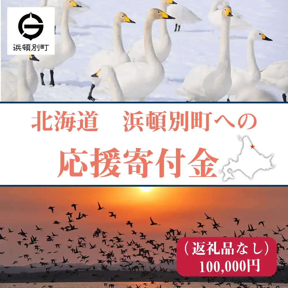 北海道 浜頓別町 ☆応援寄附金☆【返礼品なし】100,000円分 ふるさと納税 寄附のみ