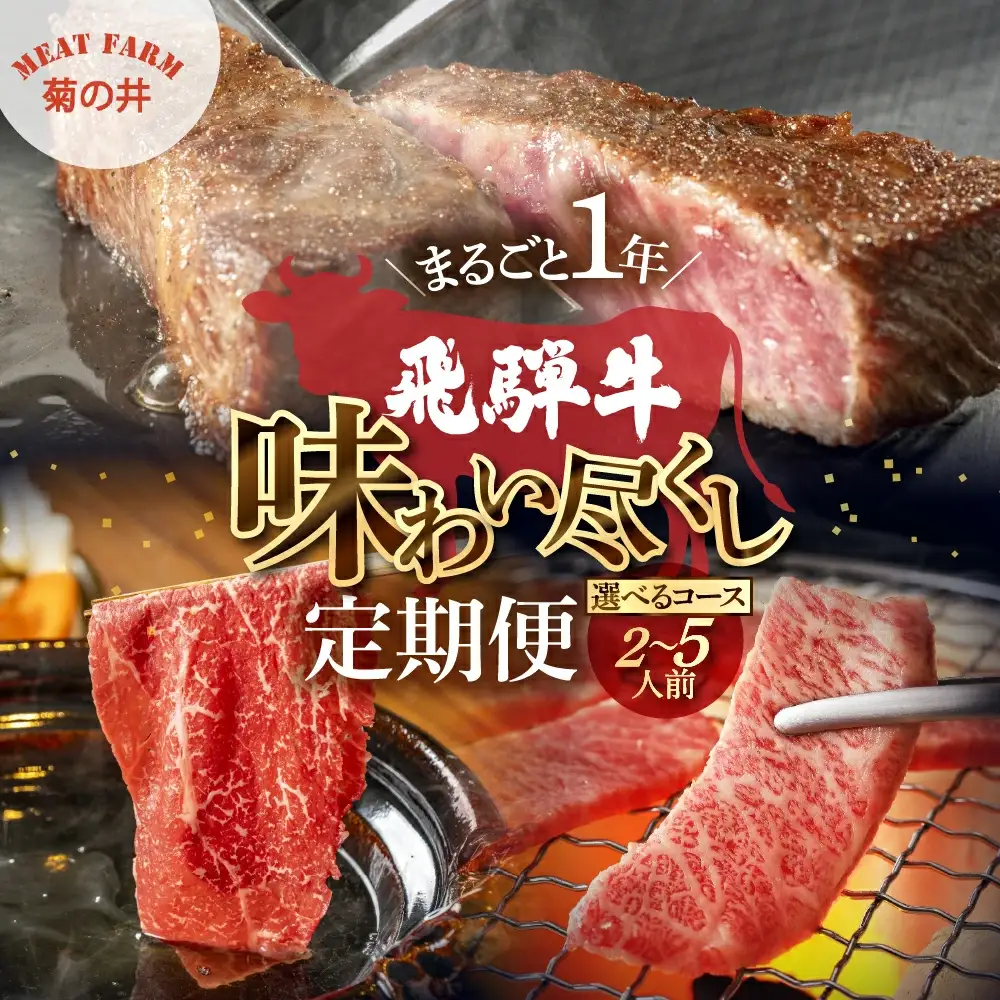 【定期便 12回】飛騨牛まるごと1年味わい尽くし定期便（2～3人前）【70-C】
