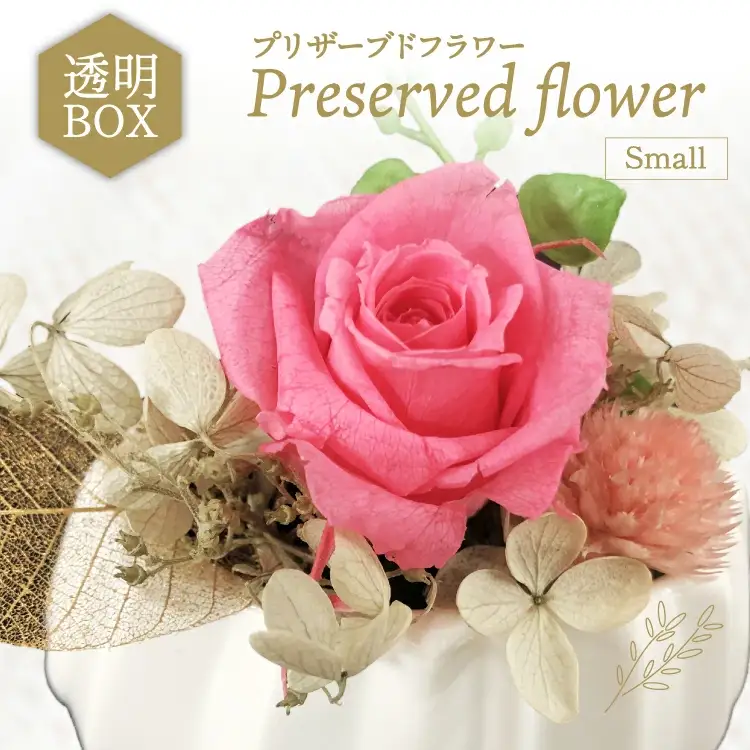 花 プリザーブドフラワー アレンジ スモール ばら1輪 紫陽花 など [littleprincess 石川県 宝達志水町 38601339]