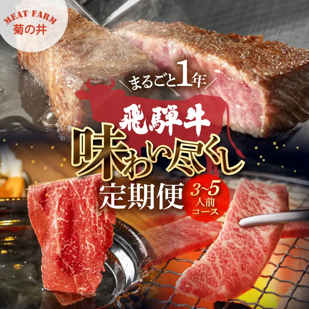 【定期便 12回】飛騨牛まるごと1年味わい尽くし定期便（3～5人前）【70-D】