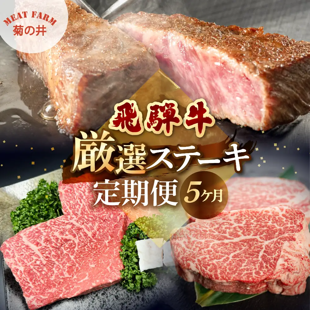 【定期便 5回】飛騨牛厳選ステーキ 5ヶ月定期便 【70-F】