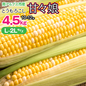 ＜2026月6月上旬~2026年7月中旬＞【みやび農園】山梨県産とうもろこし(甘々娘)   4.5kg（L~2Lサイズ10～12本 ）