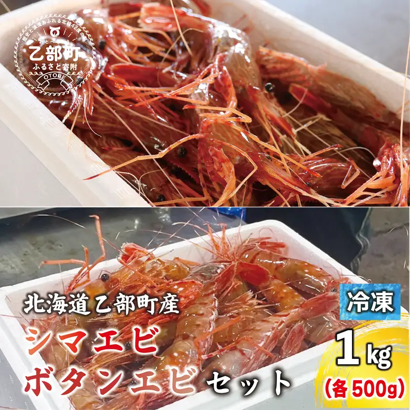 ＜ボタンエビ・シマエビ(冷凍) 1kg(各500g)＞北海道乙部町産 産地直送