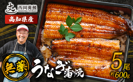 【 うなぎの蒲焼き 】国産 うなぎの蒲焼 600g ( 120g × 5尾 )
