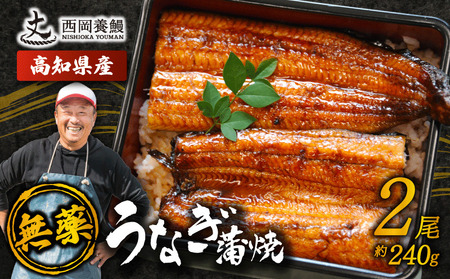 【 うなぎの蒲焼き 】国産 うなぎ蒲焼 240g ( 120g × 2尾 ) 
