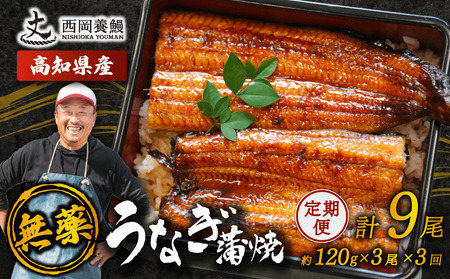 【 うなぎの蒲焼き 】 うなぎの蒲焼 定期便 計9尾 ( 120g × 3尾 × 3回 )