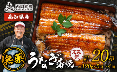 【 うなぎの蒲焼き 】 うなぎの蒲焼 定期便 計20尾 ( 120g × 5尾 × 4回 )