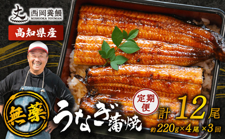 【 うなぎの蒲焼き 】 うなぎの蒲焼 定期便 計12尾 ( 220g × 4尾 × 3回 )