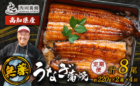 【 うなぎの蒲焼き 】 うなぎの蒲焼 定期便 計8尾 ( 220g × 2尾 × 4回 )