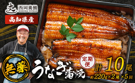 【 うなぎの蒲焼き 】 うなぎの蒲焼 定期便 計10尾 ( 220g × 2尾 × 5回 )
