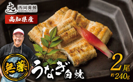鰻白焼 国産 うなぎ白焼 240g ( 120g × 2尾 )