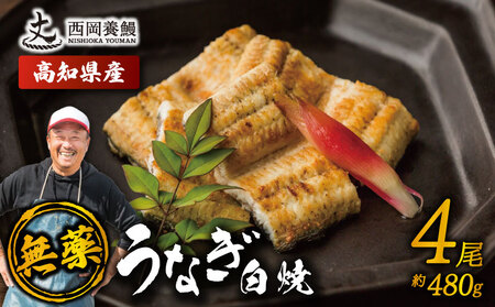 【 鰻白焼 】 国産 うなぎ白焼 480g ( 120g × 4尾 )