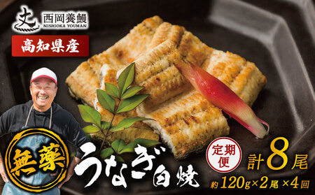 【 鰻白焼 】 国産 うなぎ白焼 定期便 計8尾 ( 120g × 2尾 × 4回 )