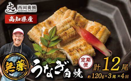 【 鰻白焼 】 国産 うなぎ白焼 定期便 計12尾 ( 120g × 3尾 × 4回 )