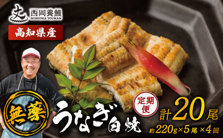 【 鰻白焼 】 国産 うなぎ白焼 定期便 計20尾 ( 220g × 5尾 × 4回 )