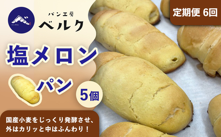 【6回定期便】塩メロンパン 5個セット / メロンパン 塩メロンパン 塩パン めろんぱん パン セット 冷凍パン 朝食 おやつ ぱん 菓子パン ベーカリー / 稲沢市 / パン工房ベルク[BMAF035]