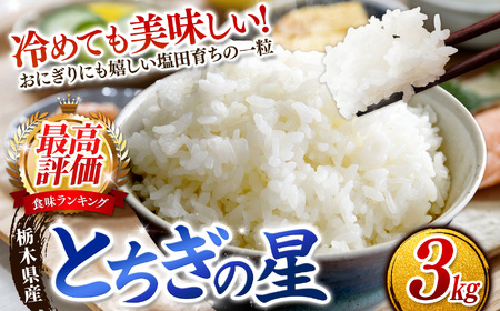 【2026年先行予約】ごはんが主役！矢板市産とちぎの星 白米 3kg お米 栃木県 矢板市
