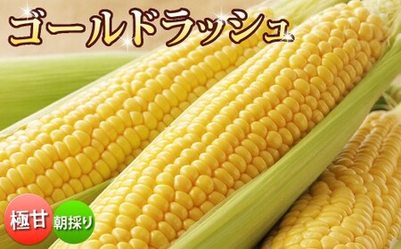  とうもろこし ゴールドラッシュ 約3.5kg～約4kg （ 8～15本 ） M～特サイズ【 2026年6月上旬から7月下旬まで順次発送予定 】  トウモロコシ 野菜 やさい フルーツコーン