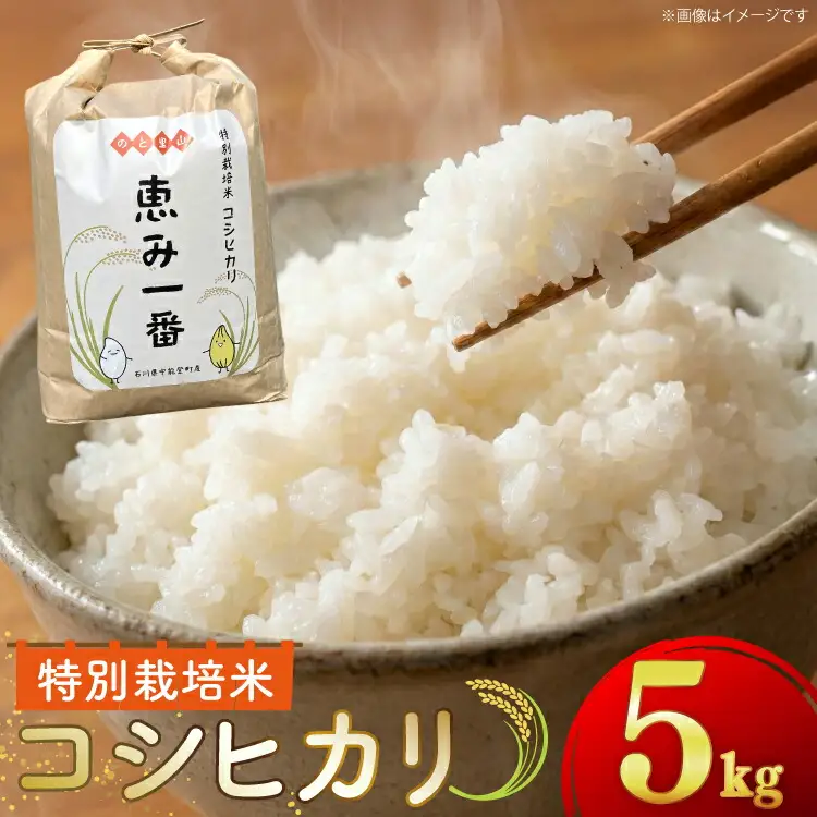 米 令和7年産 特別栽培米 コシヒカリ 5kg 精米 [ハッピーダイヤモンド 石川県 中能登町 nk17bjo780000]