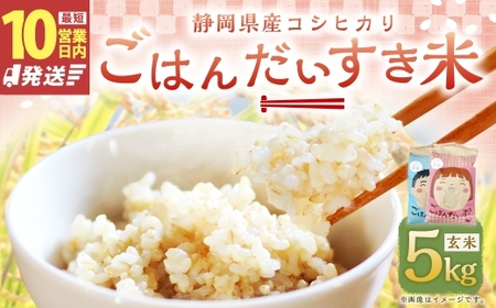 【10営業日発送】【令和7年産】静岡県産コシヒカリ 玄米 5kg （5kg×1袋） 【2026年8月下旬迄順次発送予定】 コシヒカリ こしひかり  米 コメ こめ ご飯 ごはん 菊川市 静岡県