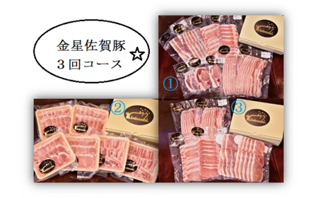 金星佐賀豚（精肉）お楽しみ3回コース