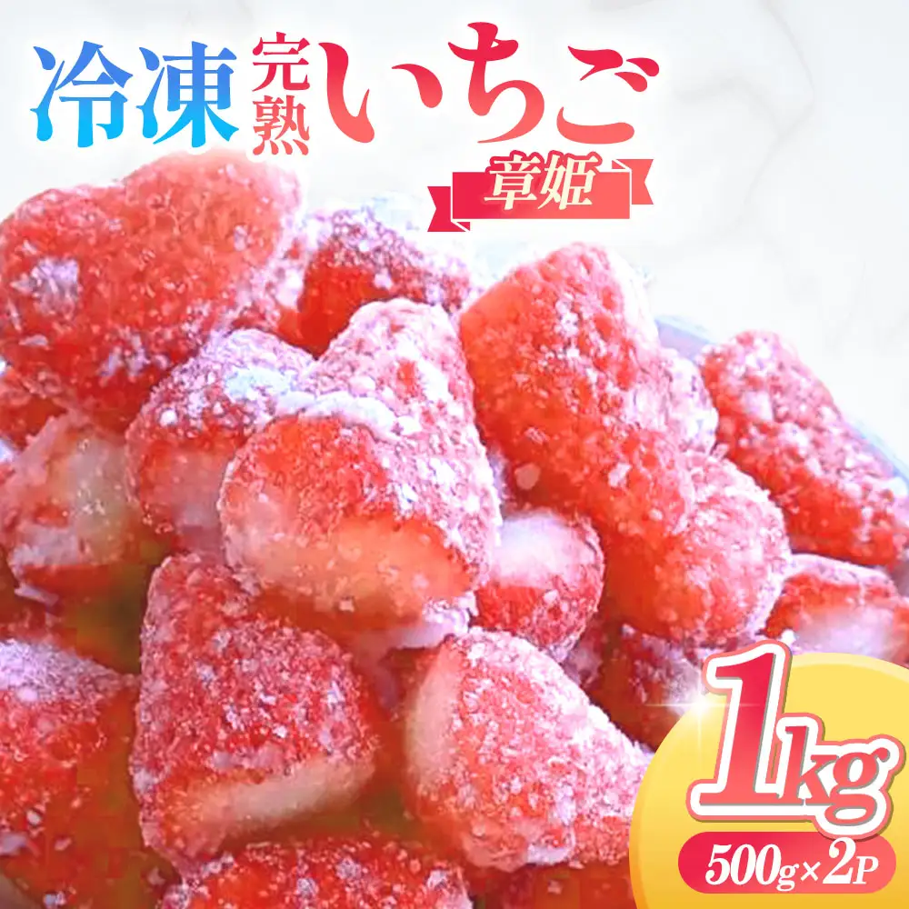 いちご 冷凍 完熟 あきひめ 1kg いちご