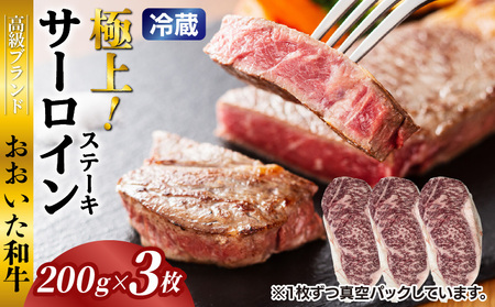 冷蔵発送/おおいた和牛サーロインステーキ600g_1792R-3