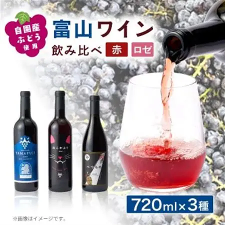 富山ワイン3本セット【1681245】