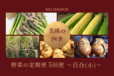 旬の野菜セット 5回 定期便  新鮮な野菜 百合 美瑛の四季【令和8年産予約受付】 