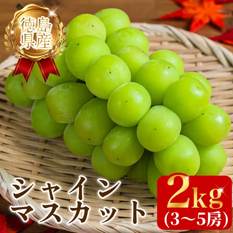 【8月末～9月上旬まで発送】シャインマスカット 2kg 3～5房 マスカット 