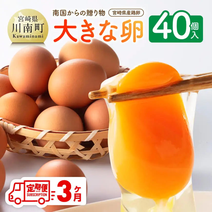 【3ヶ月定期便】 宮崎県産鶏卵 「南国からの贈り物」大きな卵40個入り（35個+破損補償5個）【たまご 卵 玉子 タマゴ】