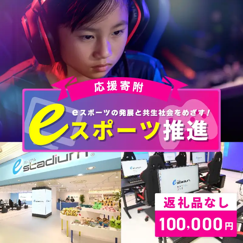 【返礼品なし】eスポーツの発展と共生社会の実現をめざす！eスポーツ推進応援寄附（大阪府泉佐野市）　