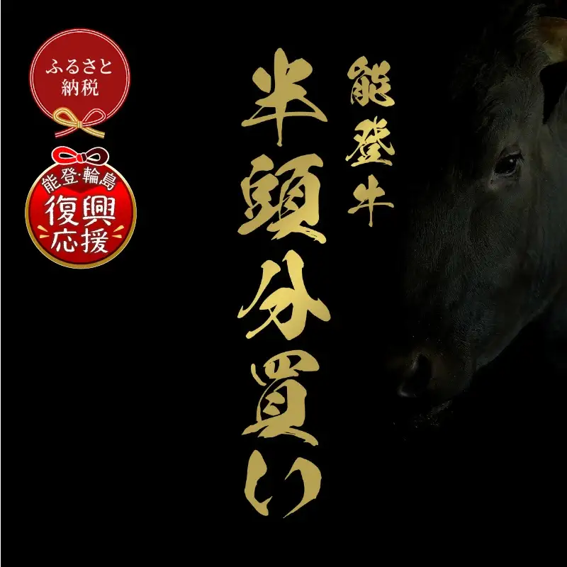 【和牛セレブ】能登牛 半頭買い（一括配送）　wa111　牛半頭飼い