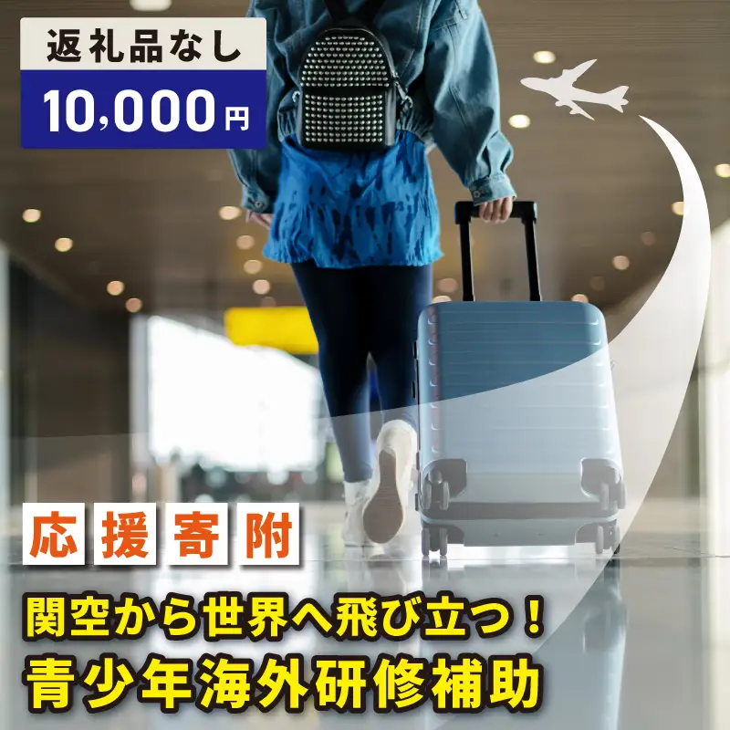 【返礼品なし】関空から世界へ飛び立つ！青少年海外研修補助応援寄附（大阪府泉佐野市）