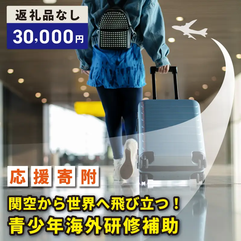 【返礼品なし】関空から世界へ飛び立つ！青少年海外研修補助応援寄附（大阪府泉佐野市）