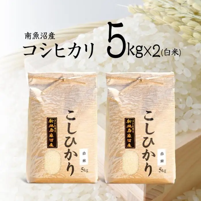 【令和7年産】南魚沼産コシヒカリ（白米）【5kg×2】【銘柄米 ブランド米 精米 こしひかり コシヒカリ 魚沼産 新潟米 産地直送 お米 米 こめ コメ ご飯 御飯 ごはん】