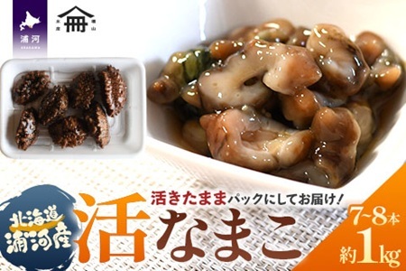 北海道浦河産『活なまこ』1kg※不在日・日付指定対応不可※[06-1591]